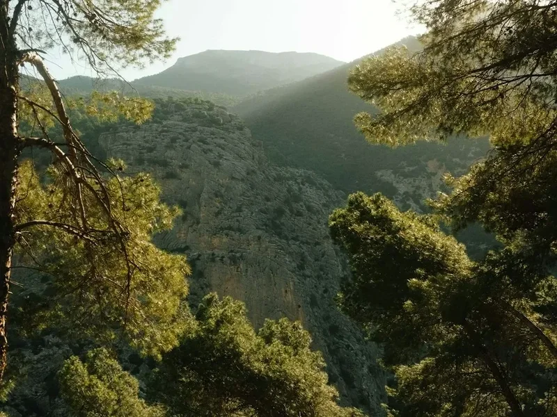 Collserola Park Trails - Visual 2