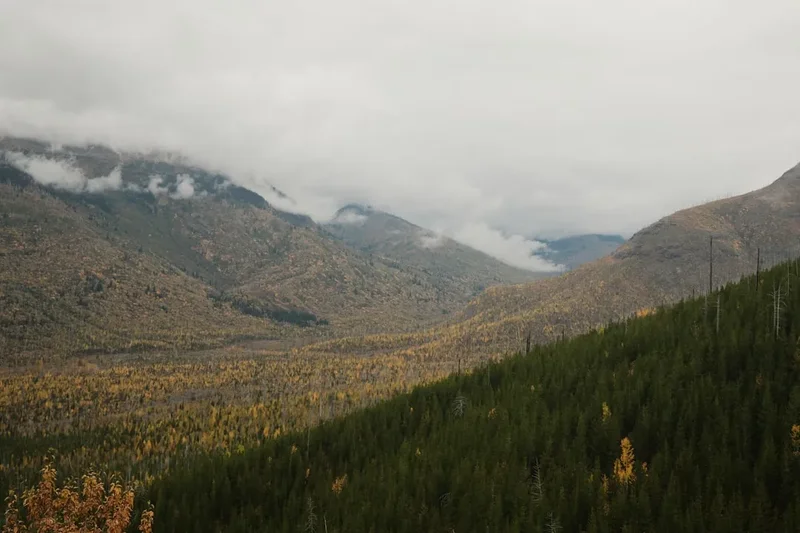 Forest and landscape view on the Colorado Trail