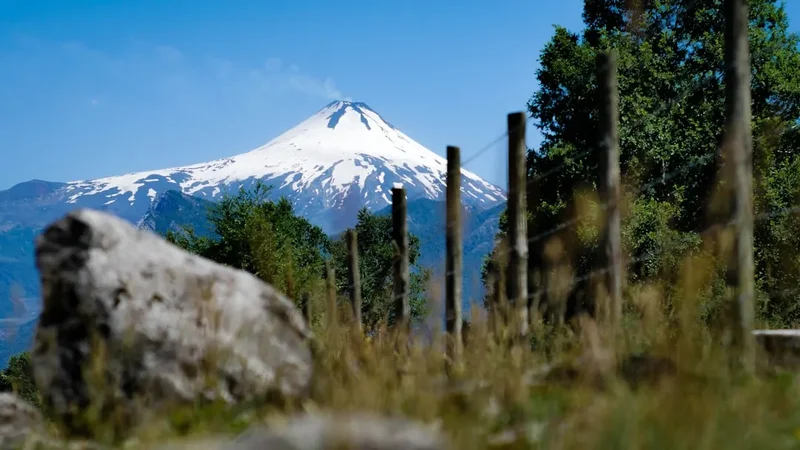 Conguillio Volcano Trail - Visual 1