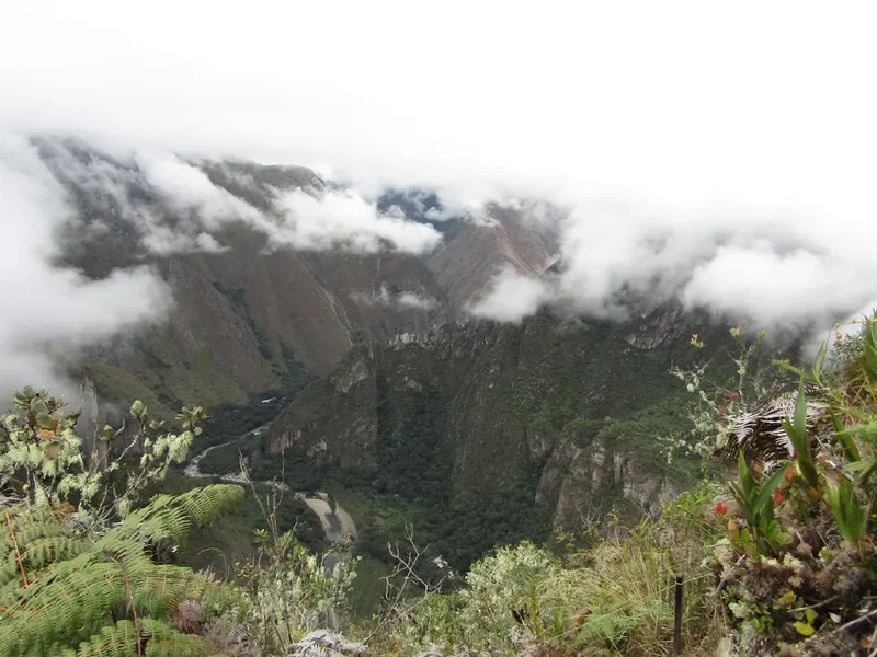 Forest and landscape view on the Cordillera Blanca Traverse