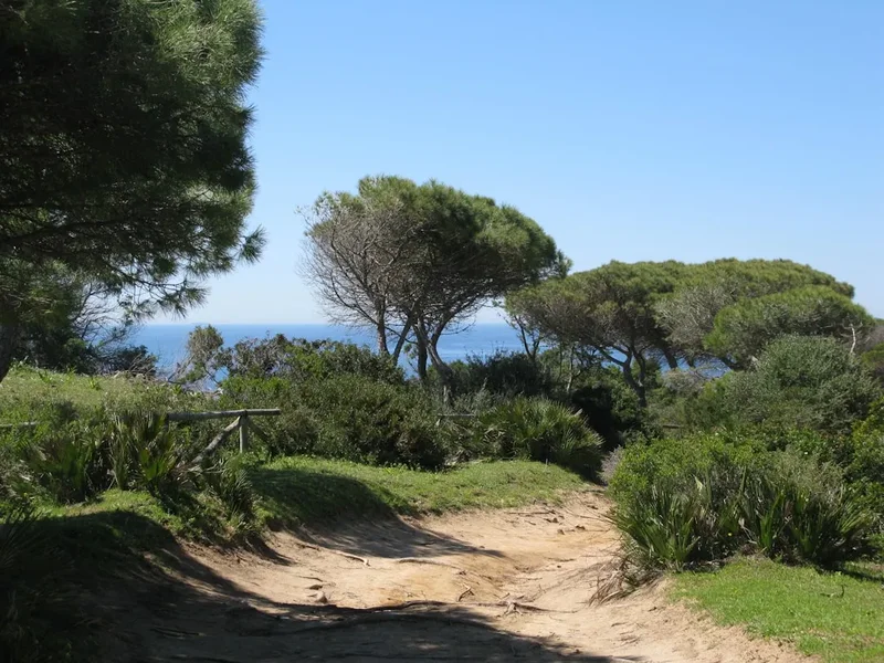 Hiking trail path on the Costa Brava Coastal Trail