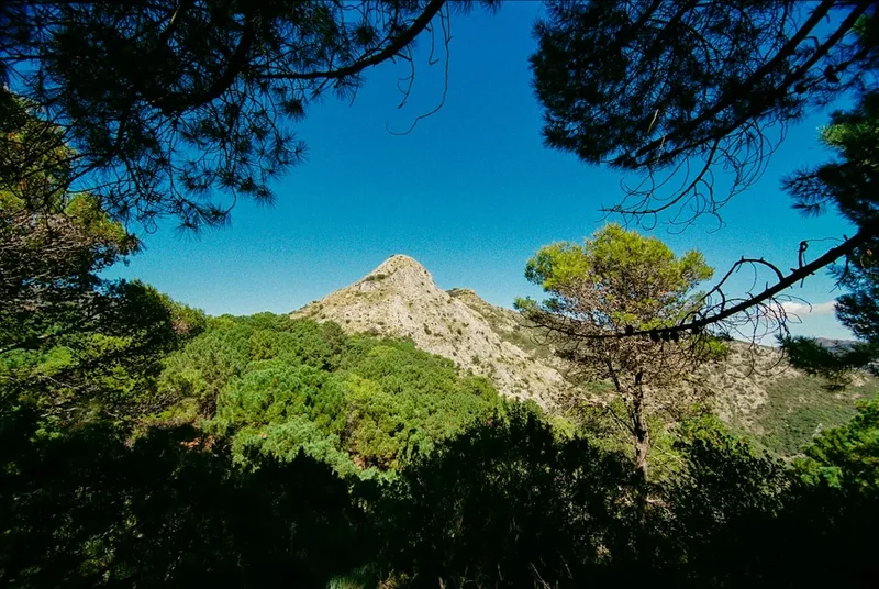 Forest and landscape view on the Costa Brava Coastal Trail