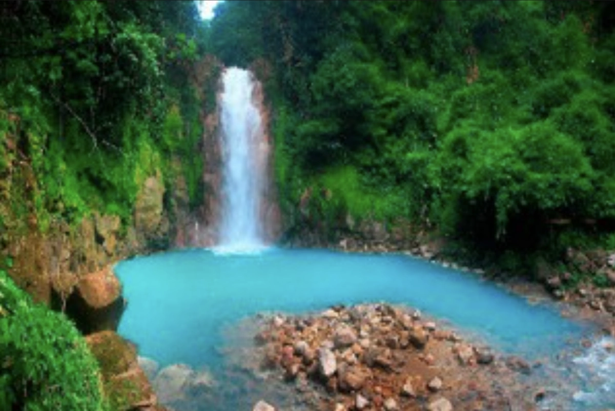 Lush tropical rainforest trail with dense vegetation and towering trees creating a green canopy overhead in Costa Rica