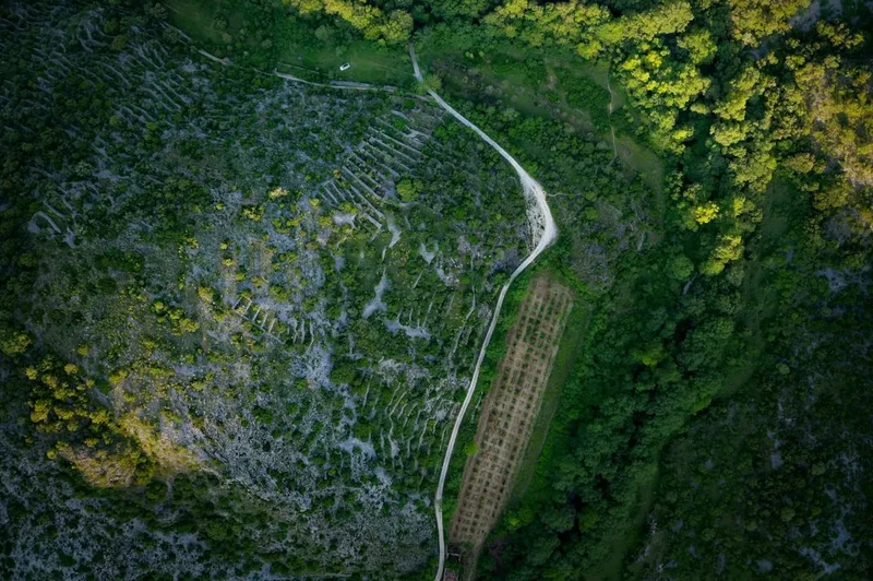 Forest and landscape view on the Dentelles Montmirail Loop