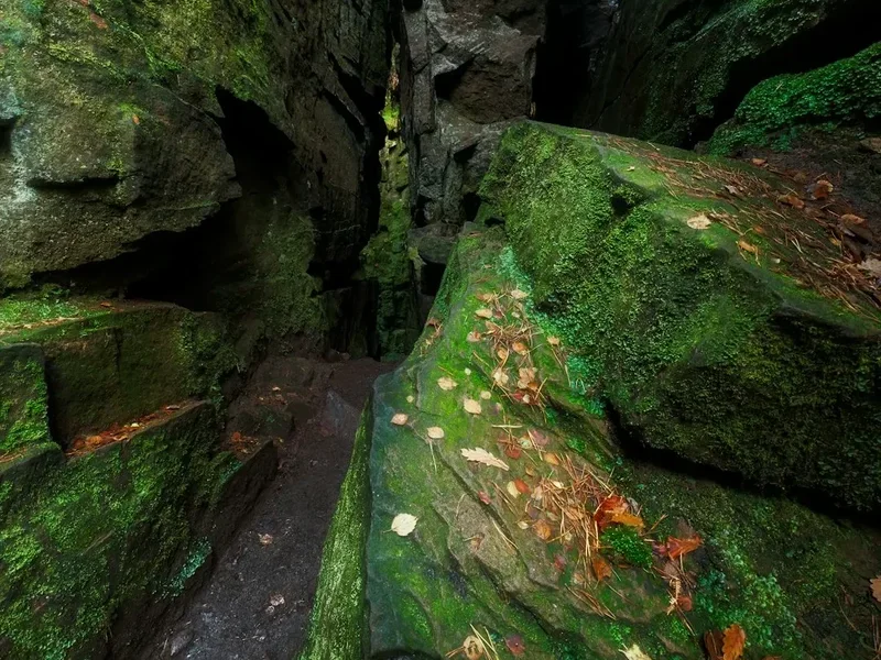 Forest and landscape view on the Devils Staircase Walk