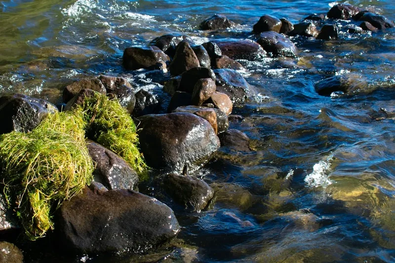 Forest and landscape view on the Diamond Lake Rocky Mountain