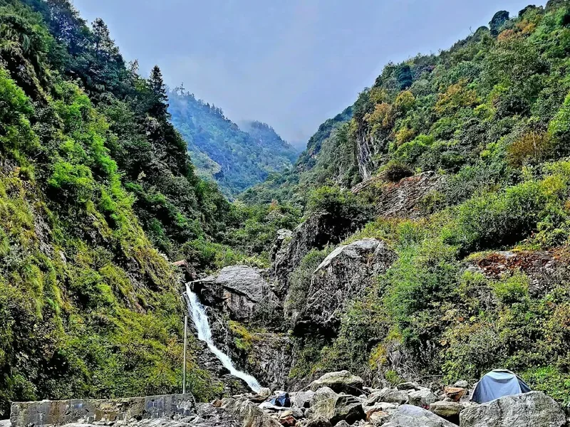 Hiking trail path on the Dzukou Valley Trek