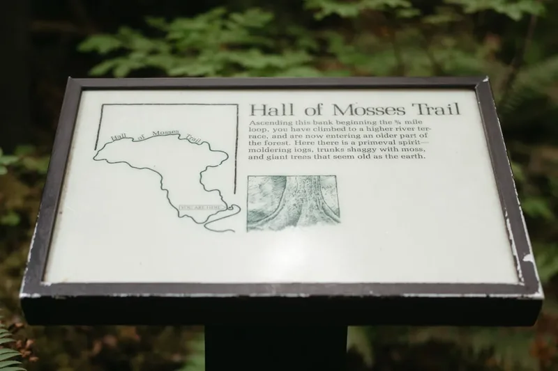 Eagle Creek Trail to Tunnel Falls - Visual 1