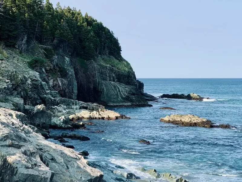 Forest and landscape view on the East Coast Trail