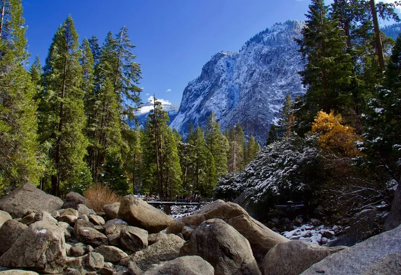 Forest and landscape view on the Enchanted Rock Summit