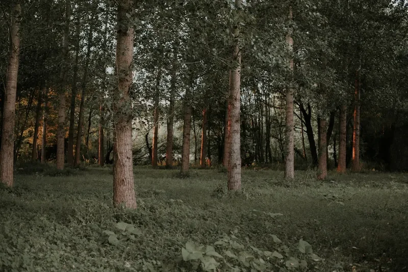Mountain and nature scenery on the Espuguettes Loop