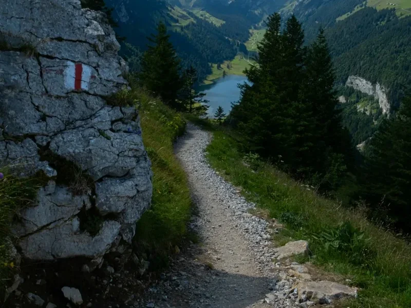 Hiking trail path on the Faulhornweg Trail
