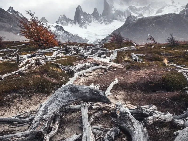 Mountain and nature scenery on the Fitz Roy Trek