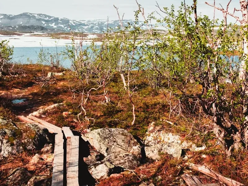 Mountain and nature scenery on the Fjallbacka Archipelago Trail
