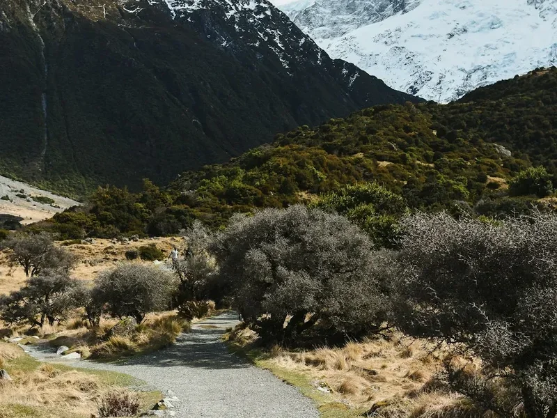 Hiking trail path on the Fjordland Kepler Track Day Section