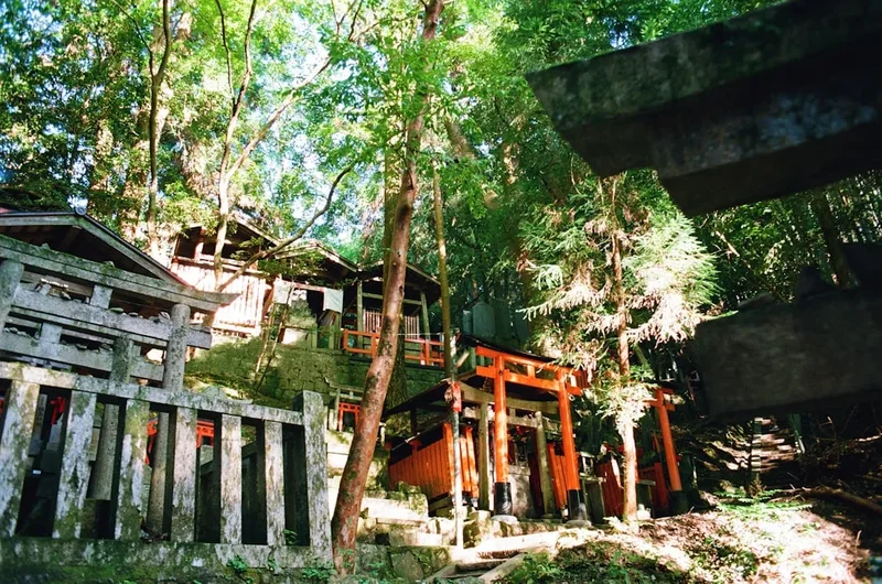 Mountain and nature scenery on the Fushimi Inari Trail