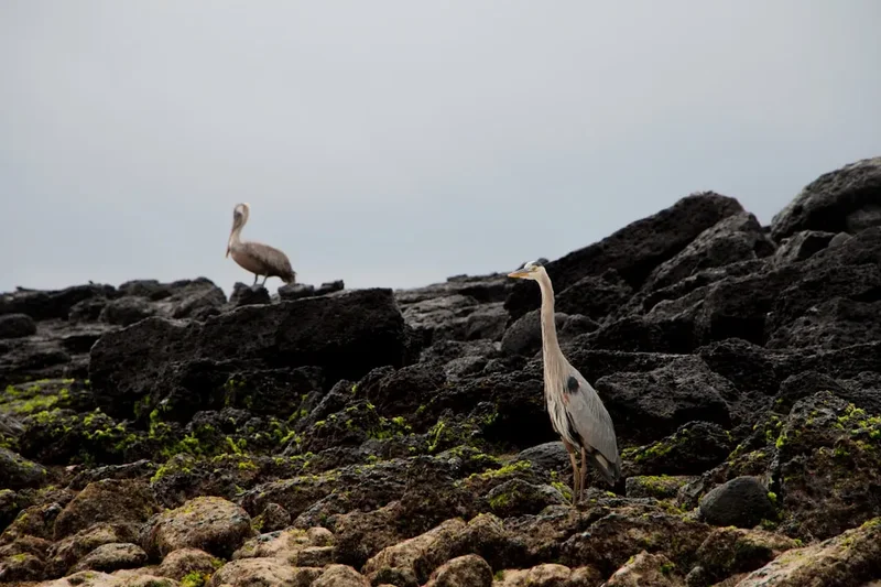 Hiking trail path on the Galapagos Coastal Trek
