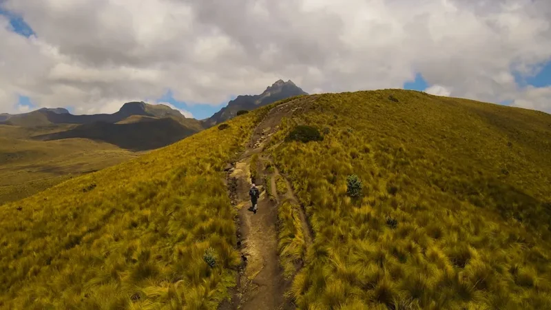 Forest and landscape view on the Galapagos Coastal Trek