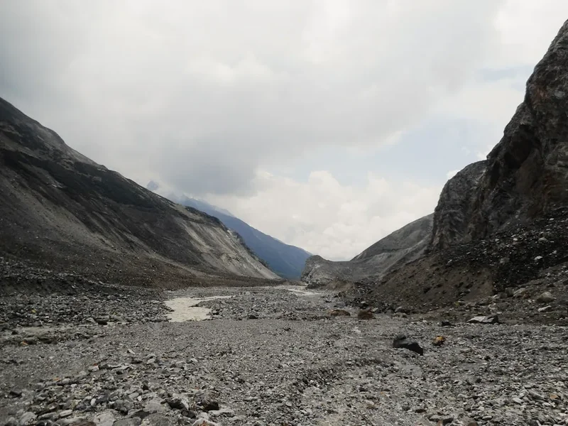 Forest and landscape view on the Gangotri Glacier Trek