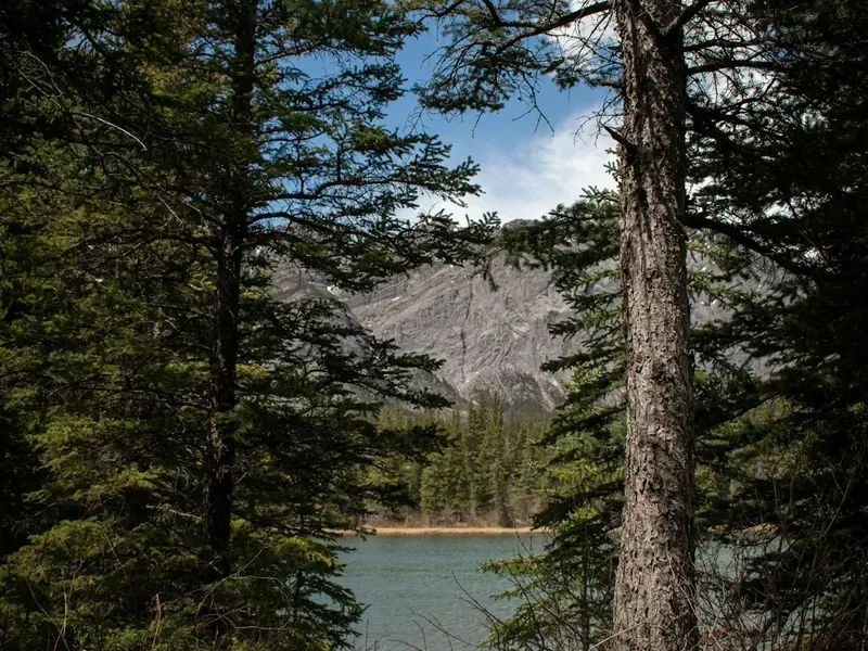 Garibaldi Lake Trail - Visual 1