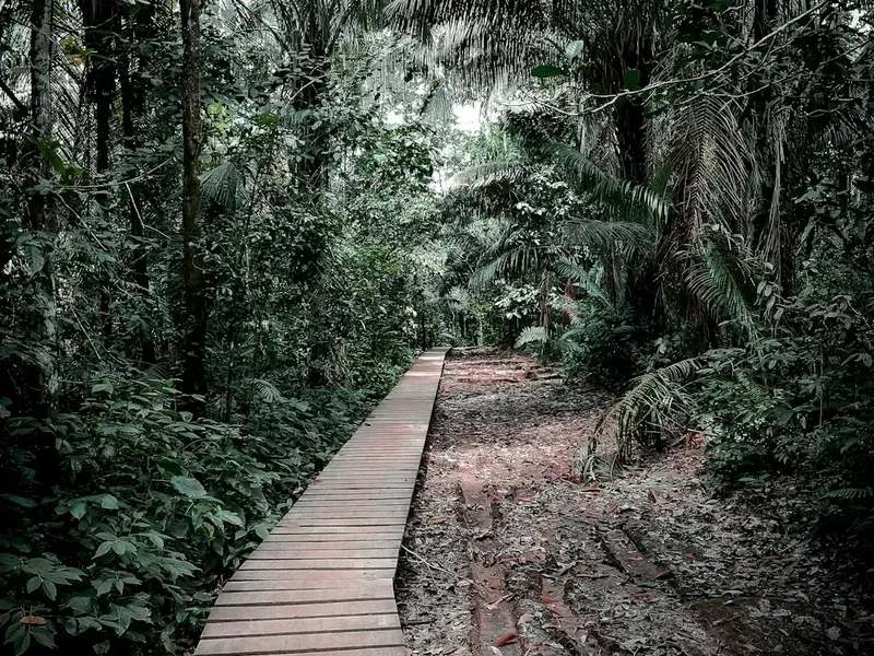 Mountain and nature scenery on the Gocta Waterfall Trail