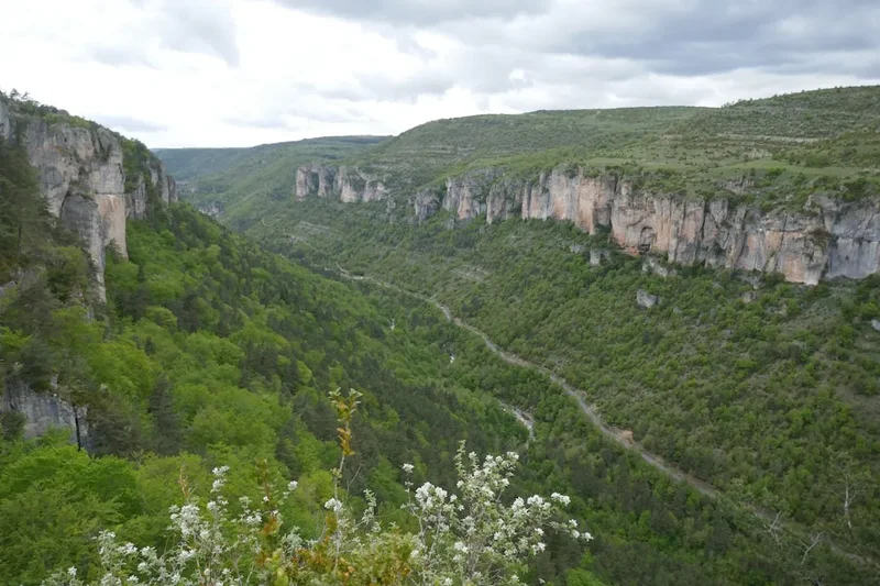 Forest and landscape view on the Gorges Du Tarn Trail