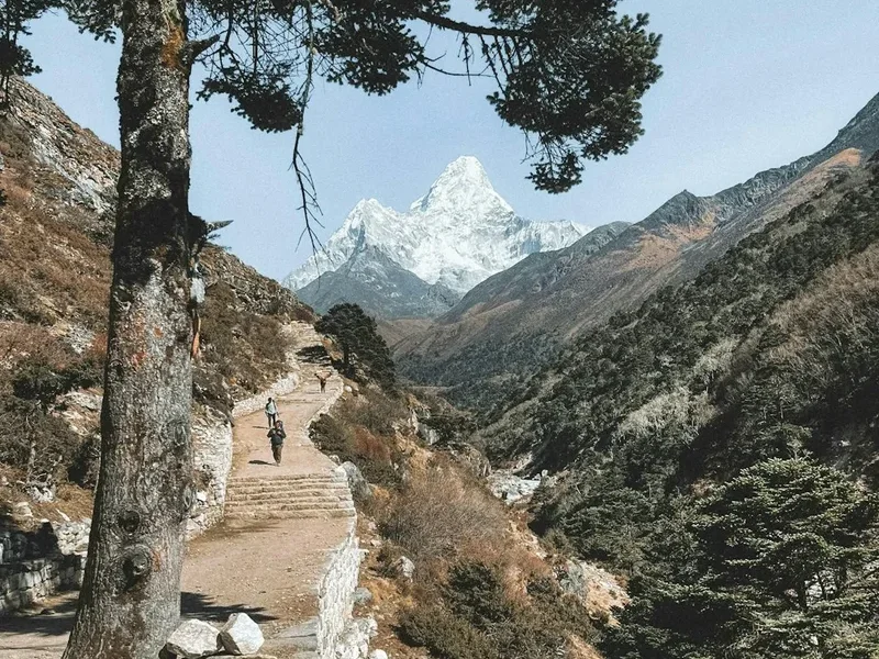 Hiking trail path on the Gosaikunda Trek
