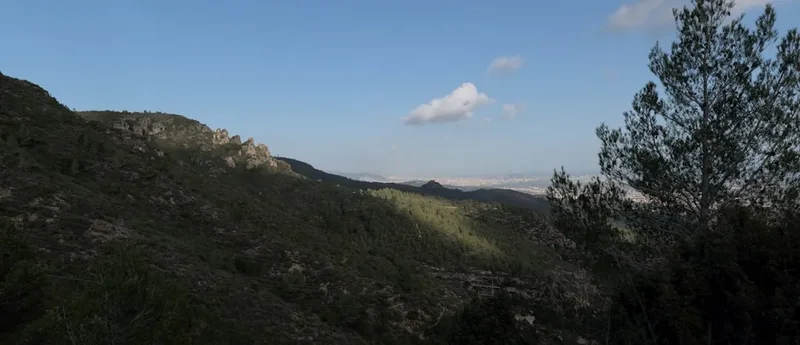 Forest and landscape view on the Gr1