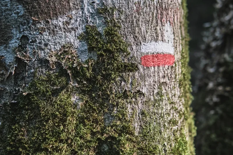 Mountain and nature scenery on the Gr10