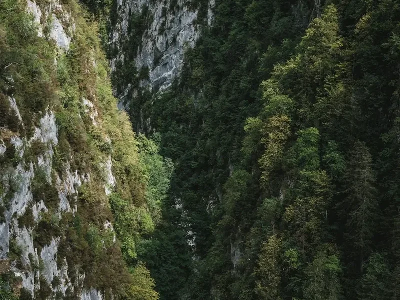 Forest and landscape view on the Gr10