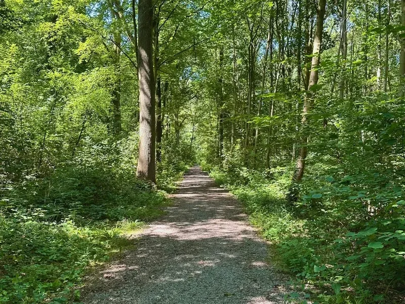 Hiking trail path on the Gr56
