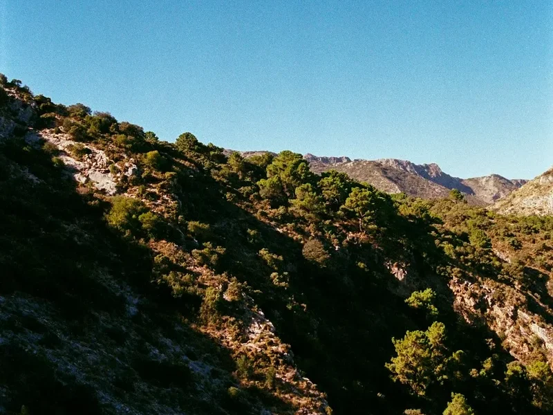 Forest and landscape view on the Gr7