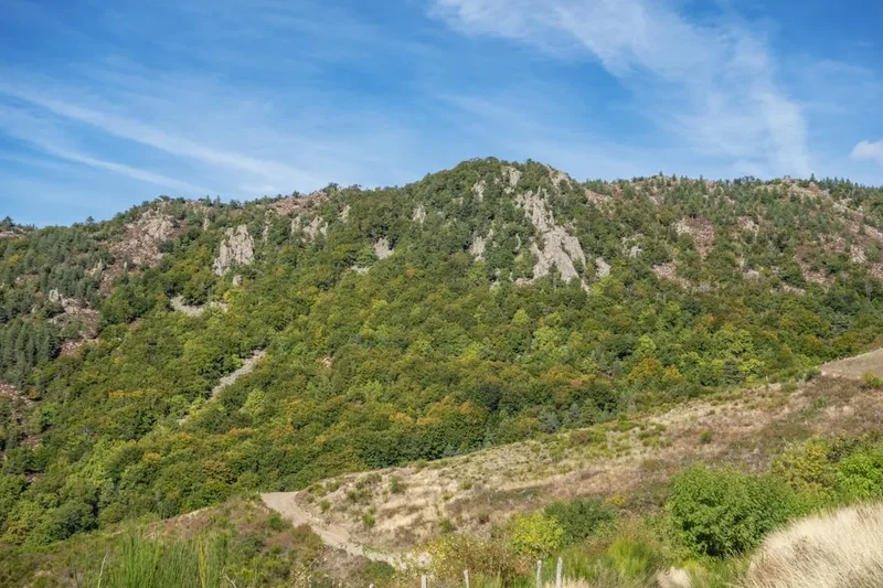 Forest and landscape view on the Gr70