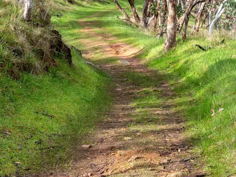 Hiking trail path on the Grampians Pinnacle Walk