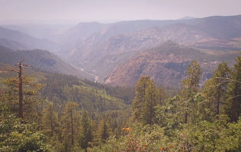 Forest and landscape view on the Grand Canyon Rim To Rim