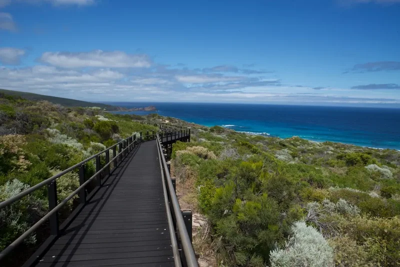Hiking trail path on the Great Ocean Walk