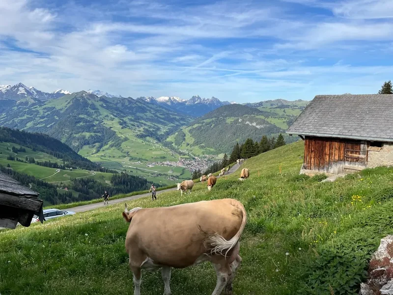 Mountain and nature scenery on the Greina Plateau Crossing