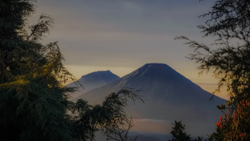 Forest and landscape view on the Gunung Rinjani Summit Trek