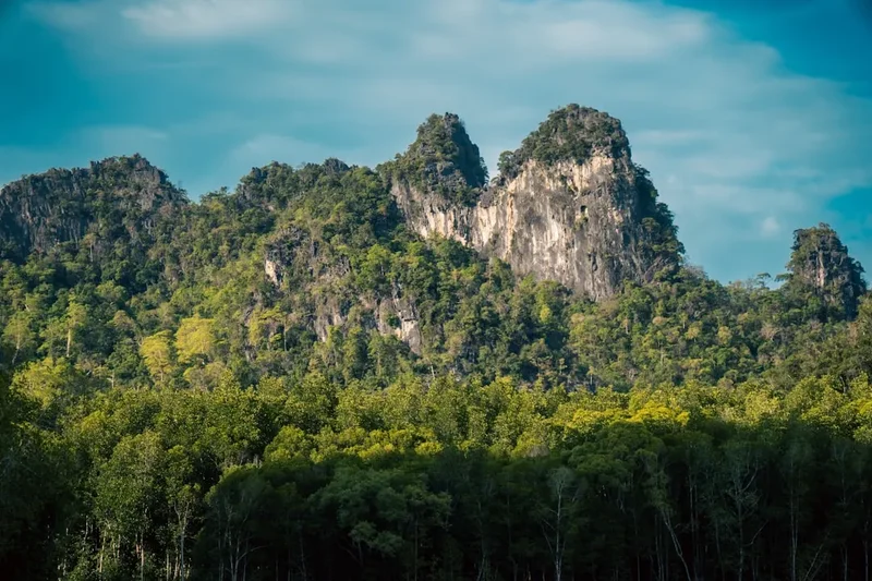 Forest and landscape view on the Gunung Tahan Trek