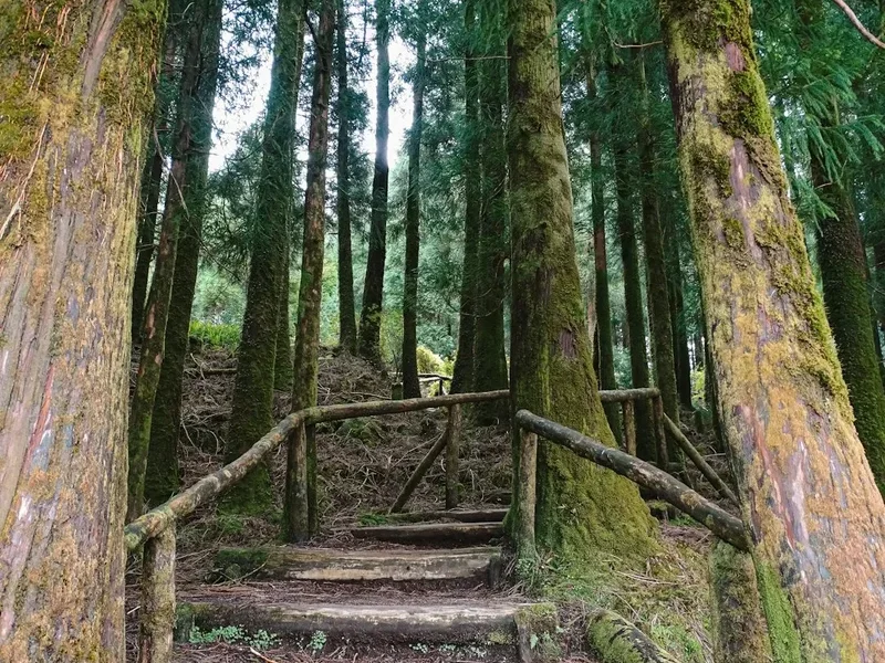 Haiku Stairs (Stairway to Heaven) - Visual 1
