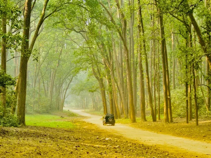 Forest and landscape view on the Har Ki Dun Trek