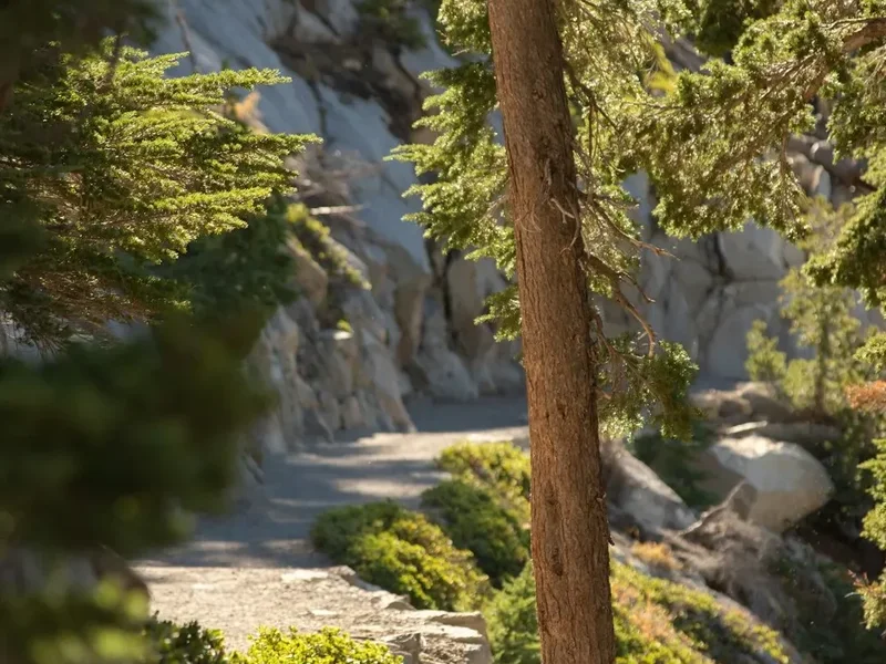 Hiking trail path on the Havasu Falls Hike