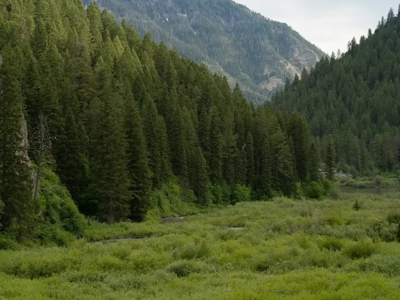 Forest and landscape view on the Hayduke Trail