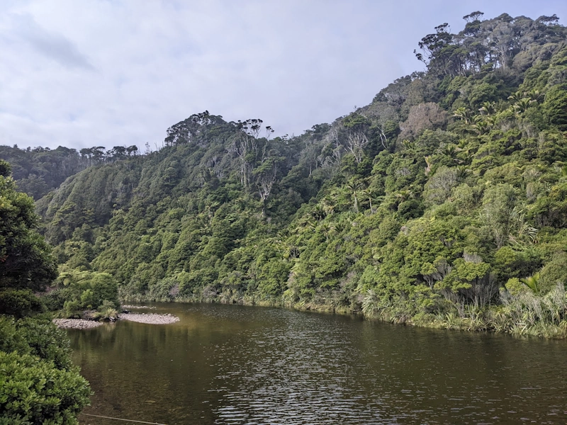 Hiking trail path on the Heaphy Track