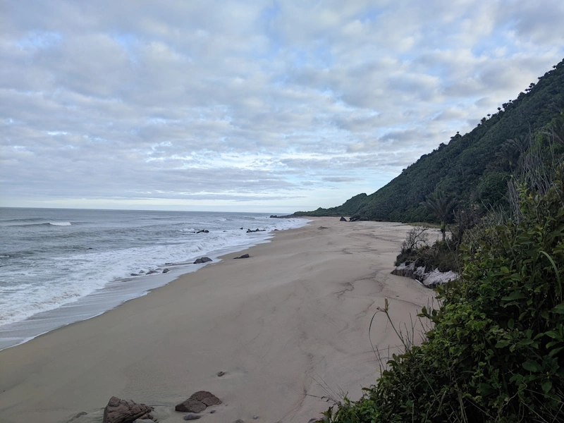 Mountain and nature scenery on the Heaphy Track