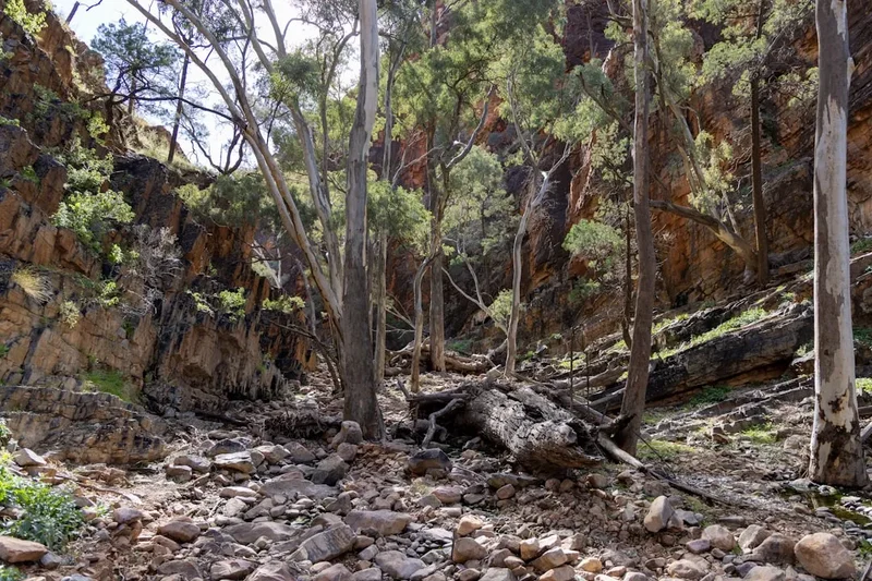 Flinders Ranges Heysen Trail - Visual 1