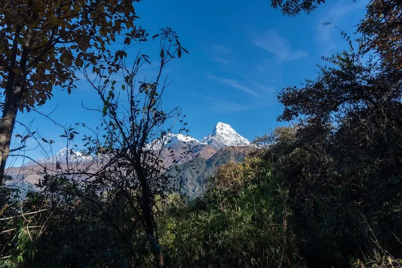 Forest and landscape view on the Hidden Valley Trek