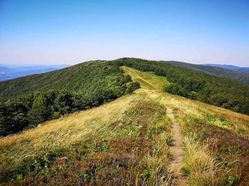 Hiking trail path on the High Tatras Trail