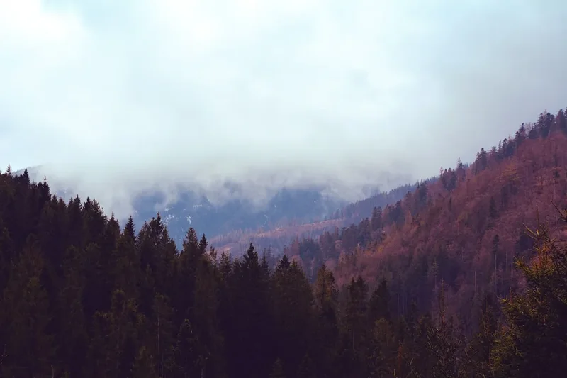 Mountain and nature scenery on the High Tatras Trail