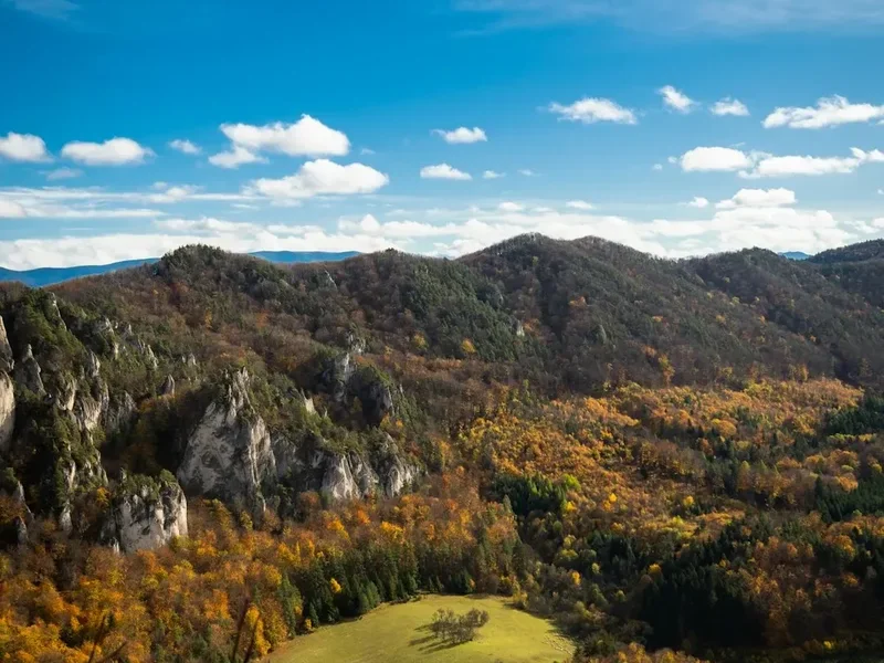 Forest and landscape view on the High Tatras Trail